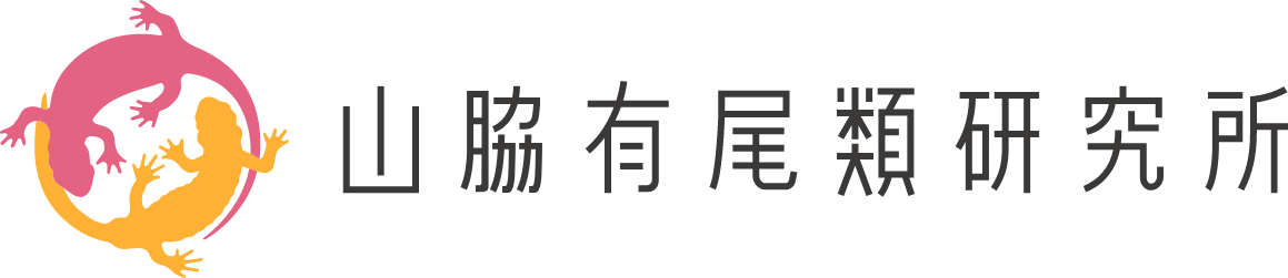 山脇学園有尾類研究所